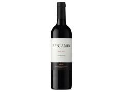 VINO BENJAMIN MALBEC 750 CC