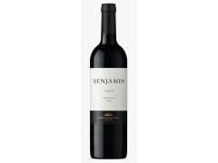 VINO BENJAMIN SYRAH 750 CC