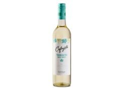 CHATARR GENERICO 1 kg