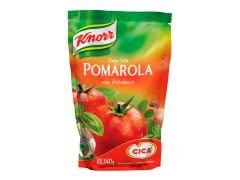 SALSA KNORR PAMAROLA CEBOLLA DE VERDEO 340 GR