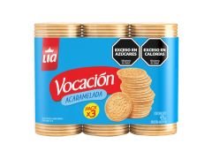 GALLETITAS VOCACION ACARAMELADA FORTIFICADA 450 GR