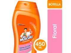 LIMPIADOR Mr MUSCULO CREMOSO FLORAL 450 ML