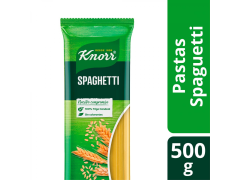 FIDEOS KNORR SPAGHETTI 500 GR