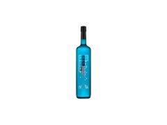 ENERGIZANTE FRIZZE EVOLUTION BLUE 1 LT
