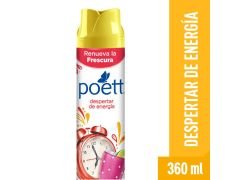 DESODORANTE POETT DESPERTAR 360 CC